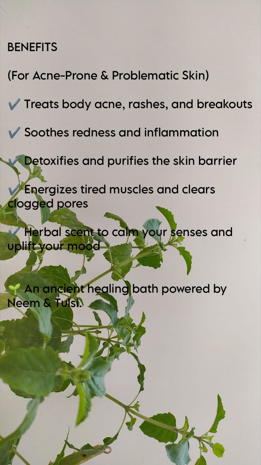 HANDMADE NEEM & TULSI BAR