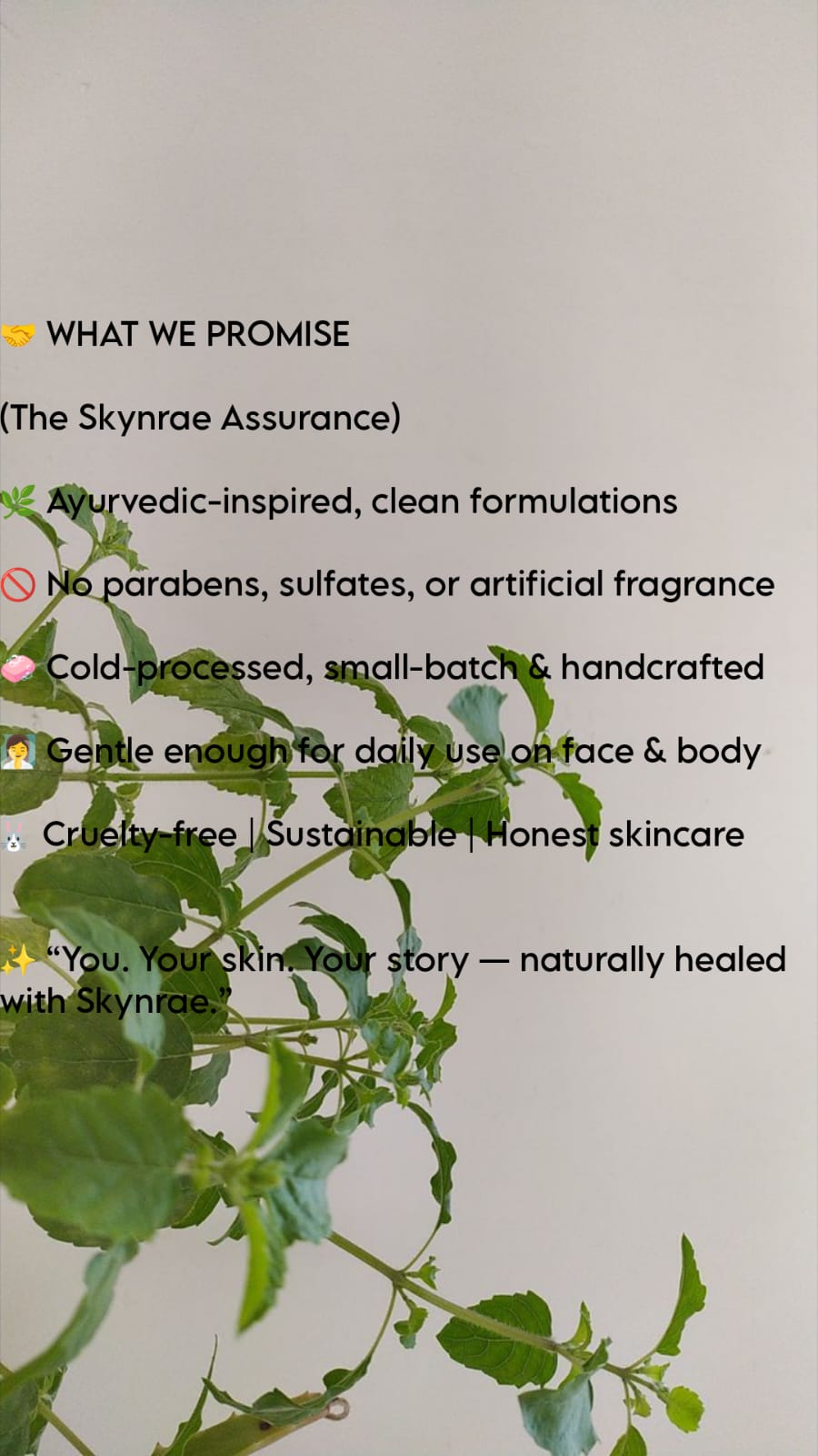 HANDMADE NEEM & TULSI BAR