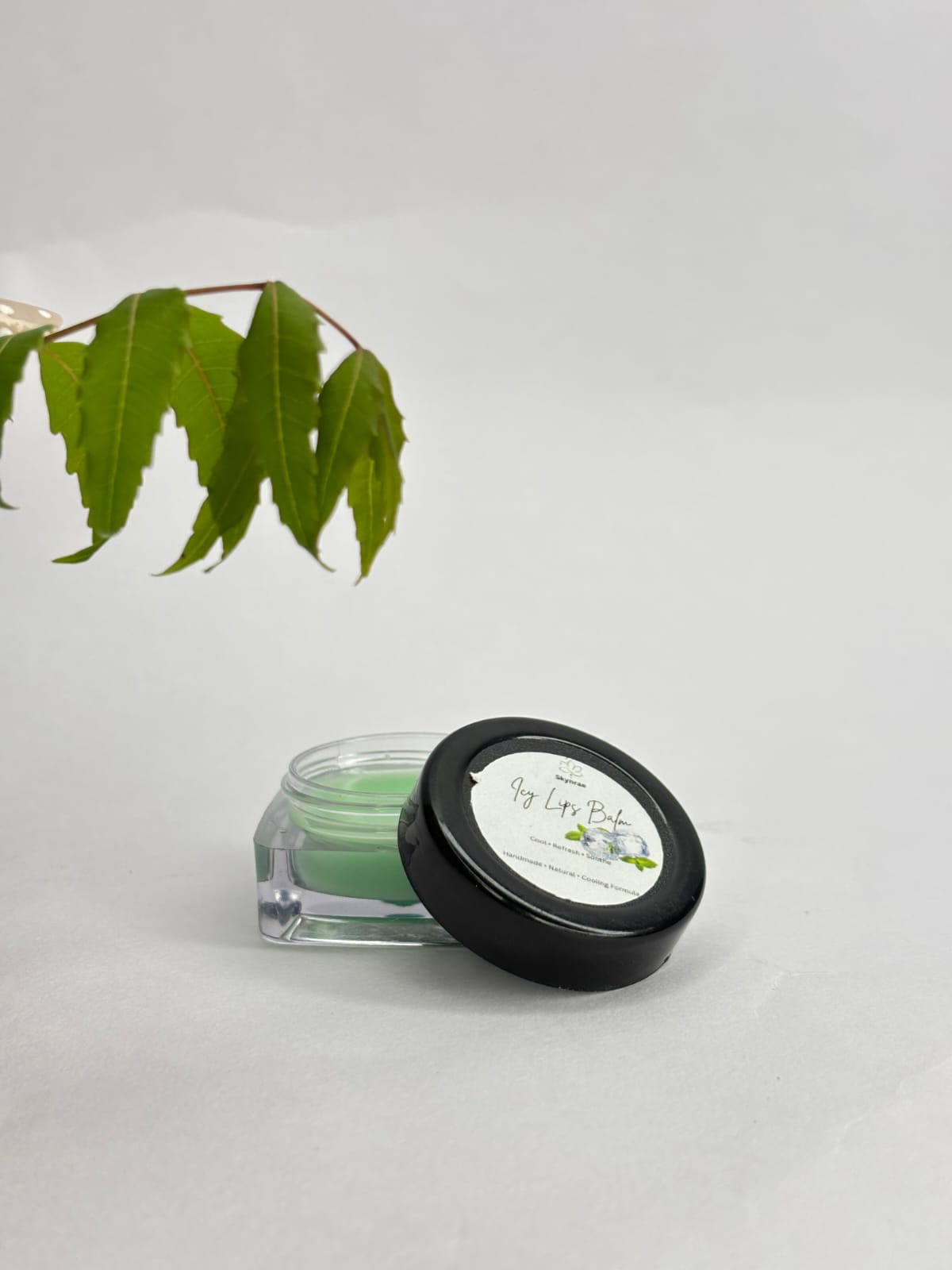 MINT LIP BALM